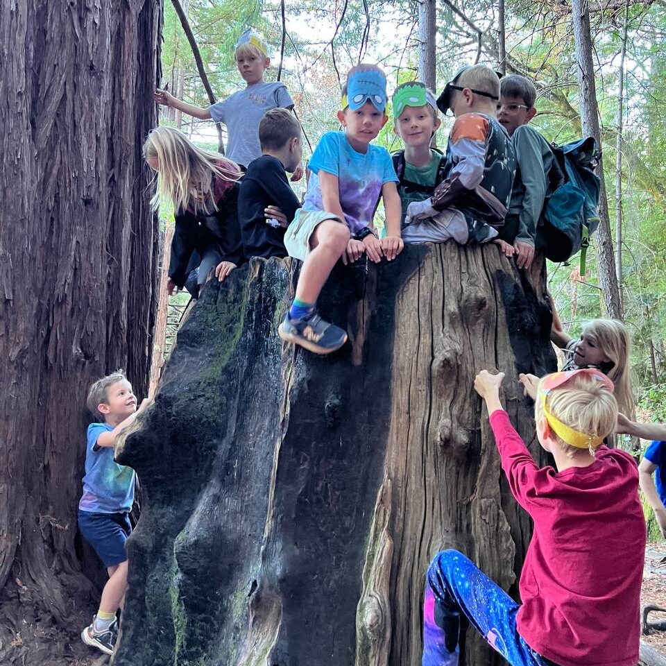 Летние лагеря