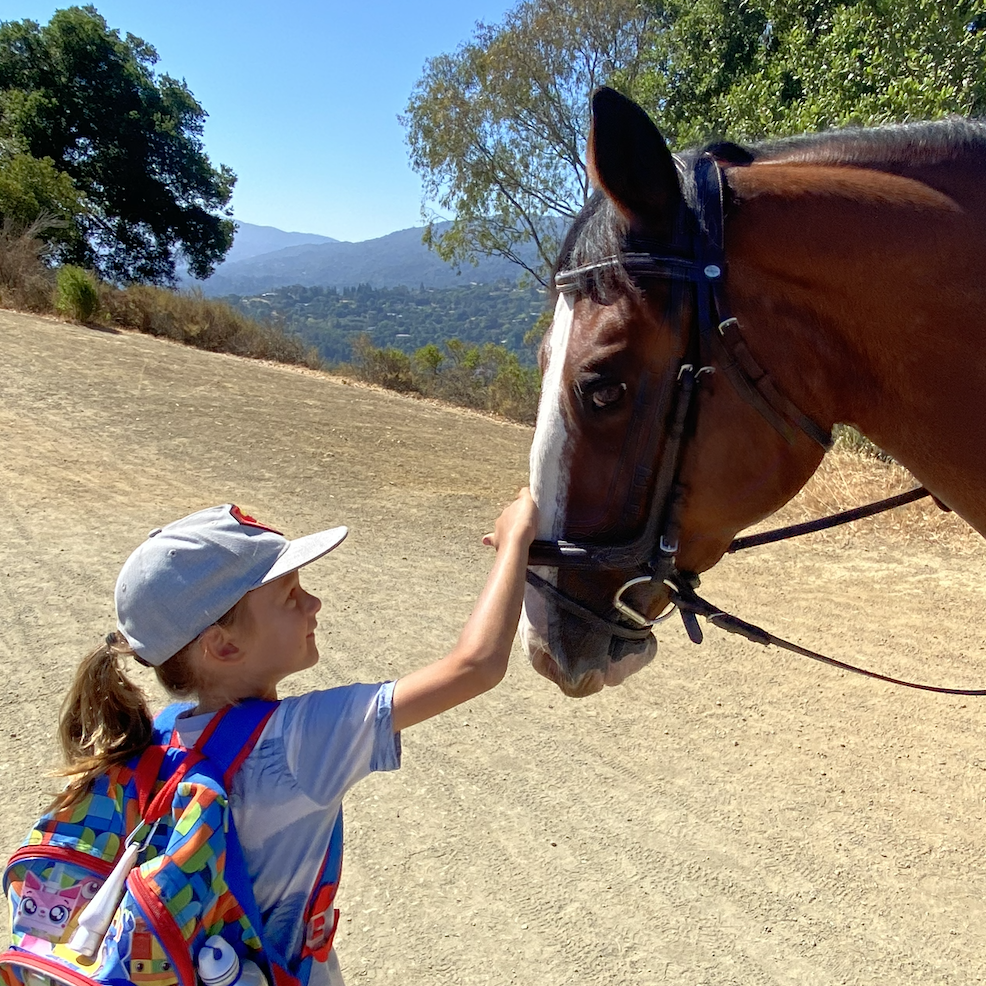 Лошади: сказки, мифы и жизнь