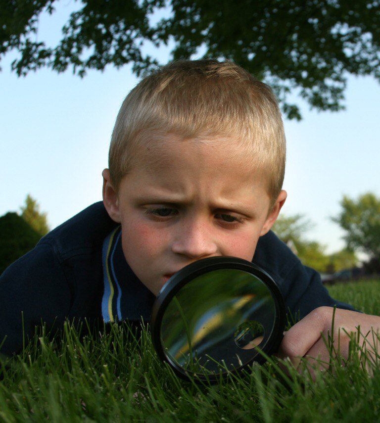 Школа детективов
