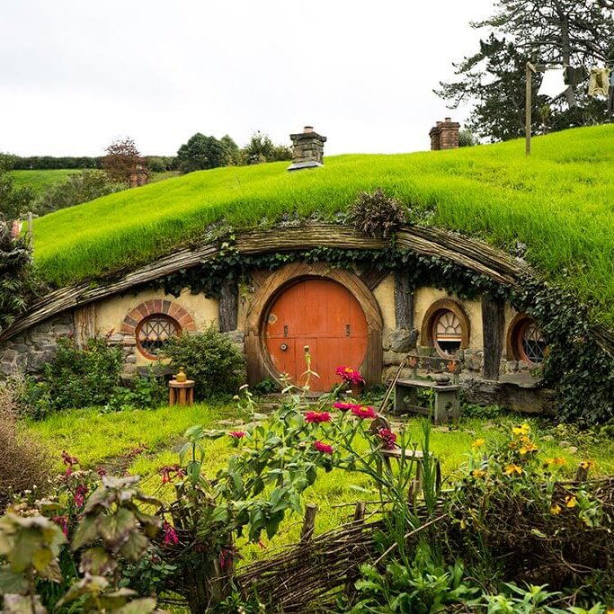 Международные поездки